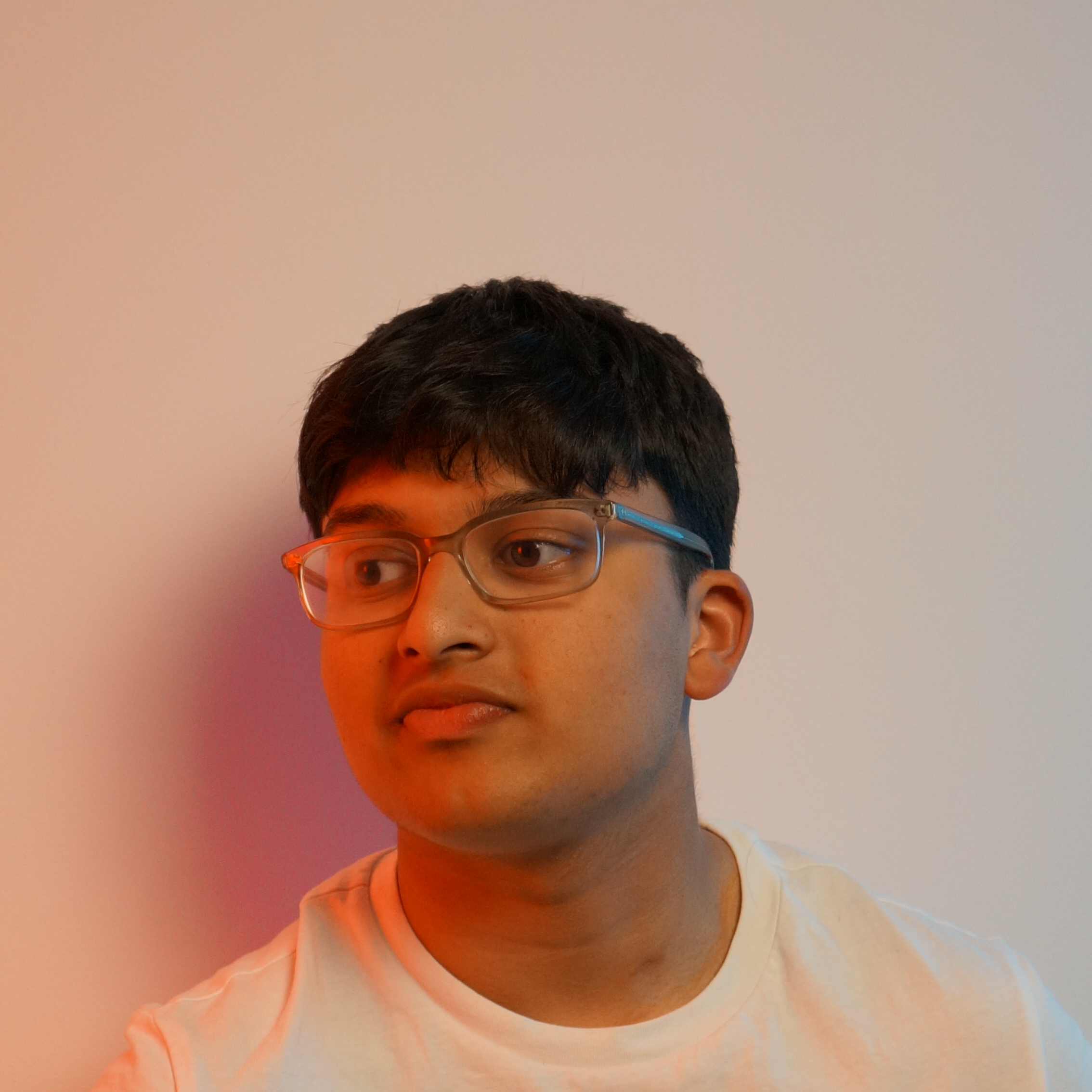 Image of Co-Founder, Aryan Agrawal